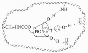 β-环糊精聚合物可快速移除双酚A（BPA）