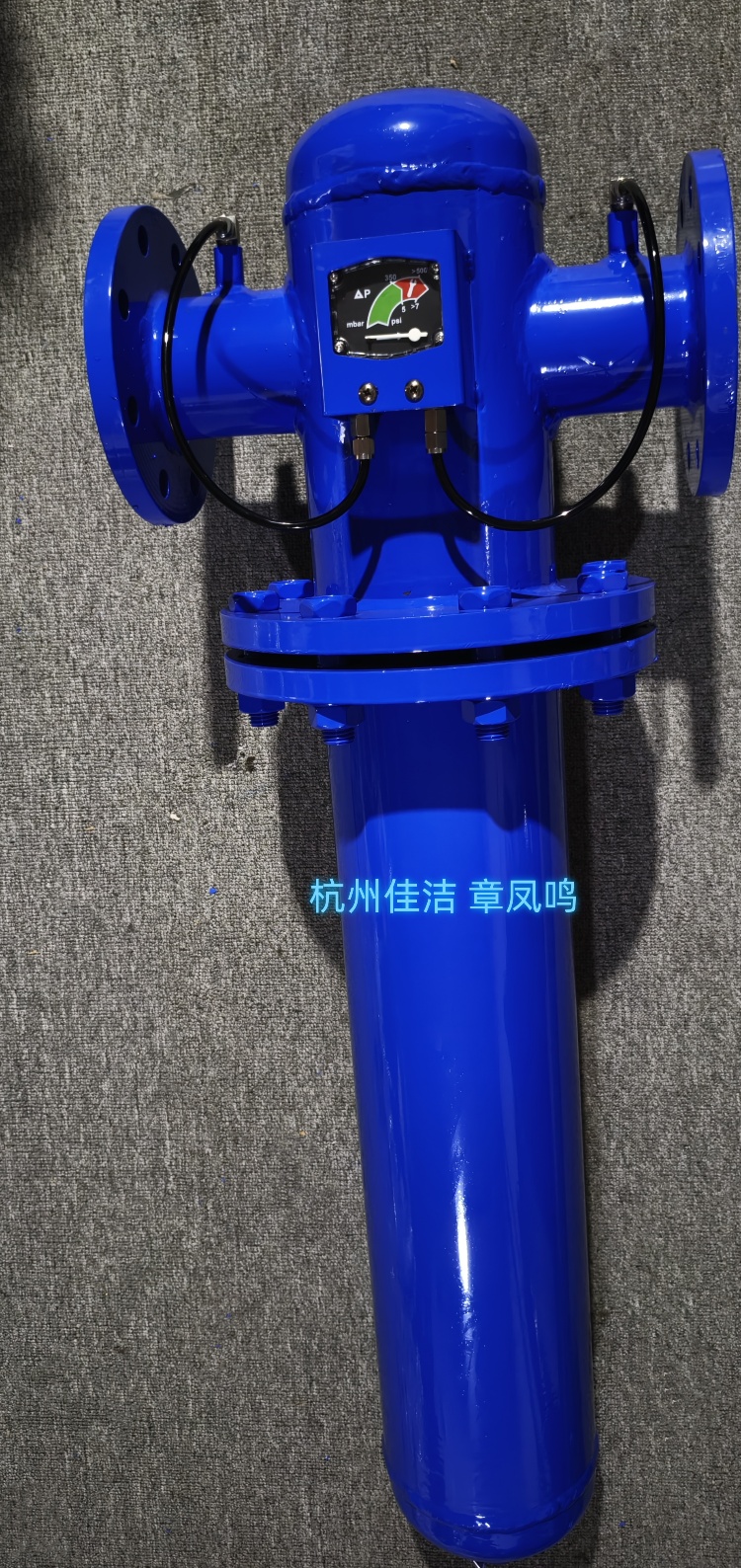 兰色的碳钢过滤器, (2)_副本.jpg